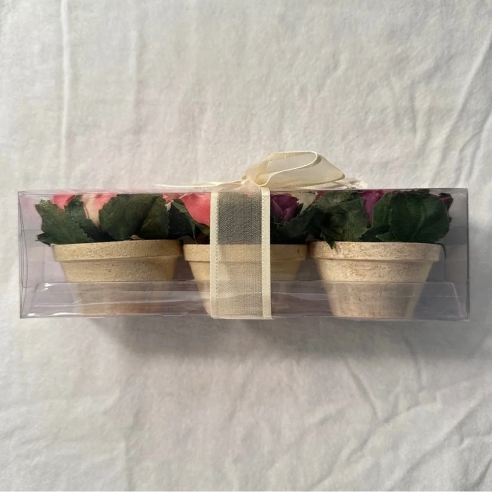 Miniature Terracotta Potted Rose Arrangements